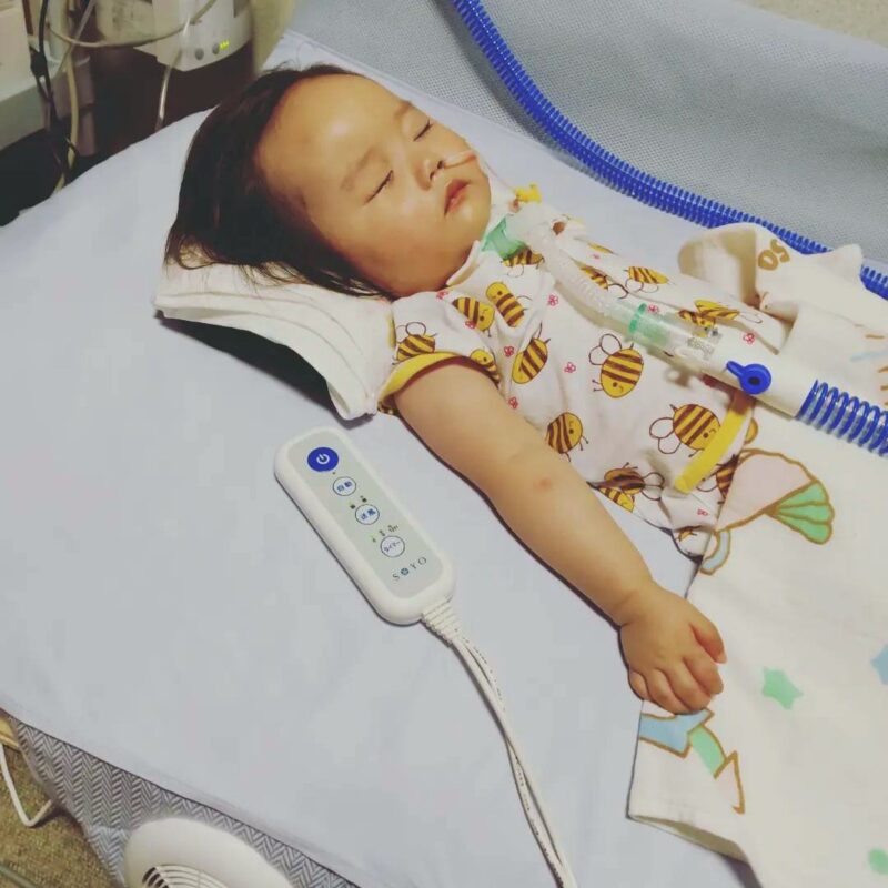 ぐっすり眠るさくら