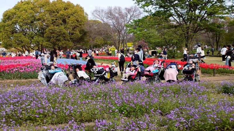 第8回お花見