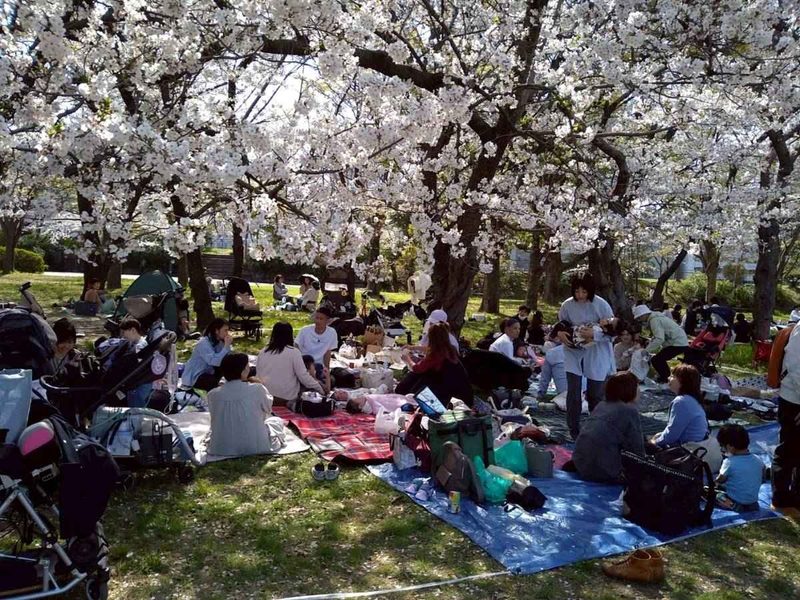 第5回お花見