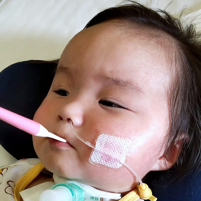 入院中のさくら