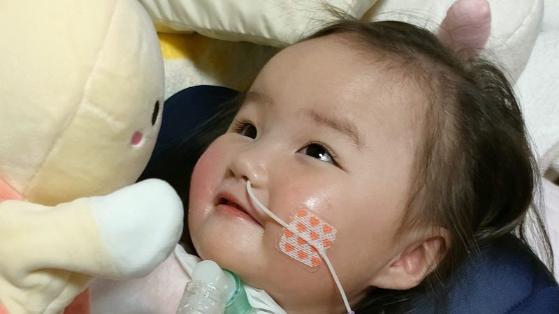 在宅で過ごすさくら